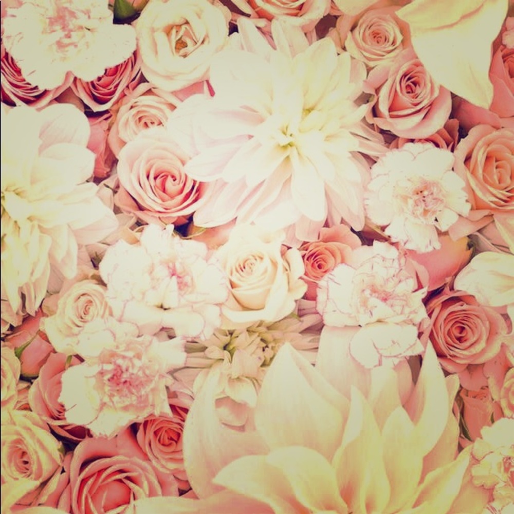 Meet your Posher, Cynthia